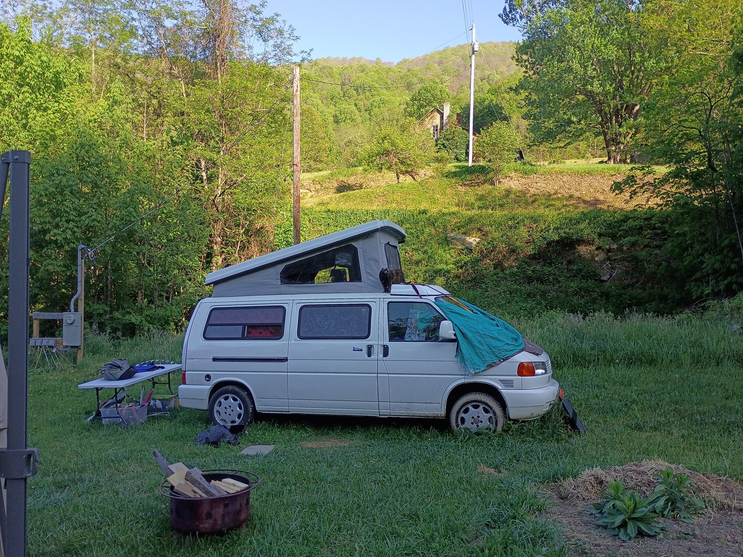 A photograph of a white camper van parked in a field, surrounded by greenery. A tortoiseshell cat stands on the roof of the camper van.